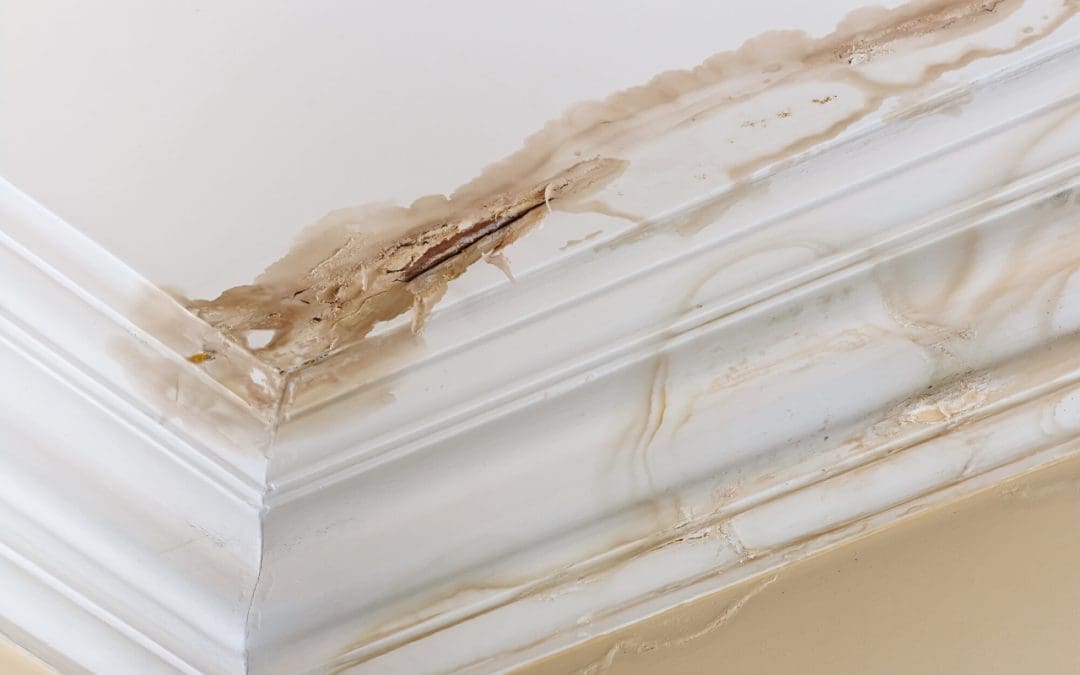 moisture problems in the home