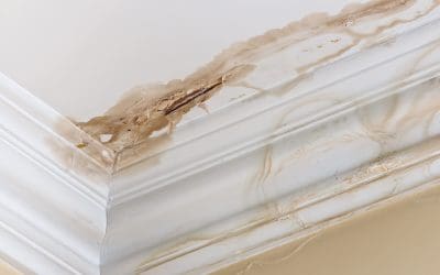 Moisture Problems in the Home and What to Do About Them