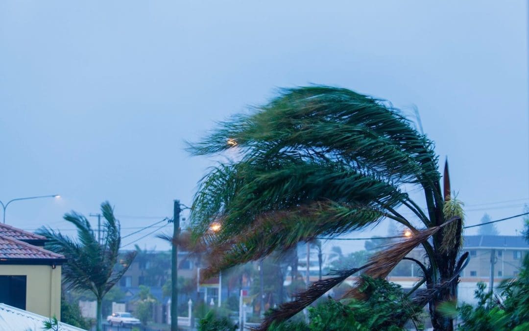 wind damage