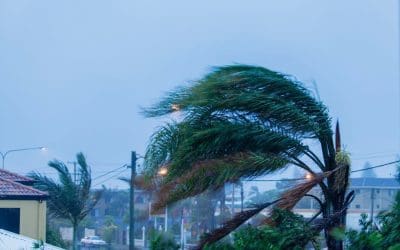 Protecting Your Home from Wind Damage