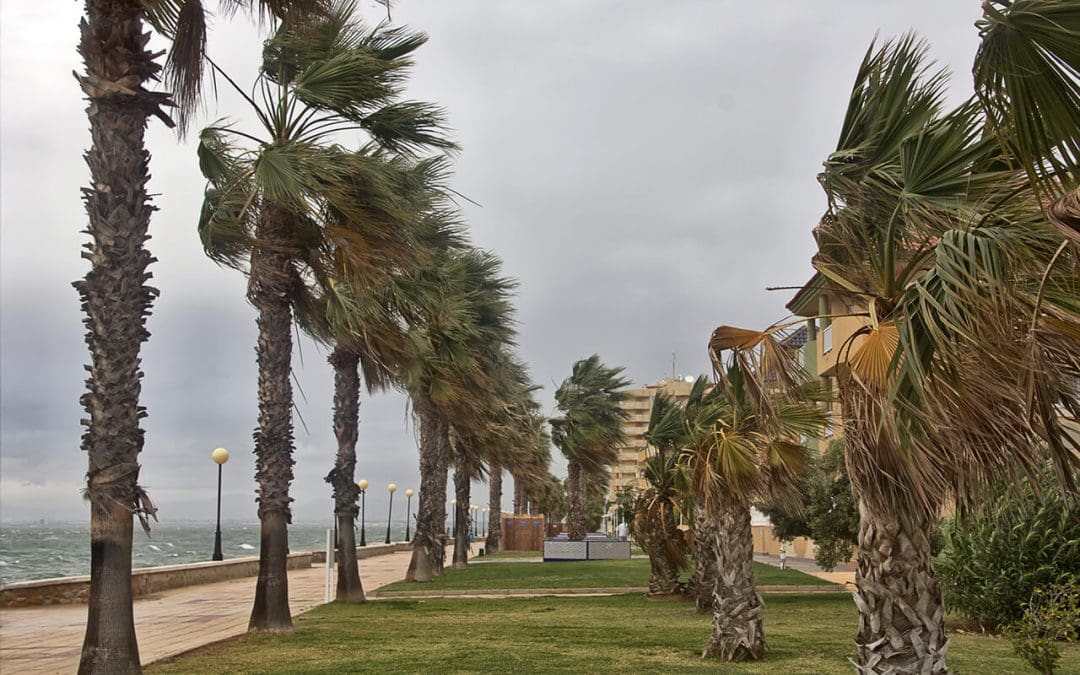 wind mitigation inspections